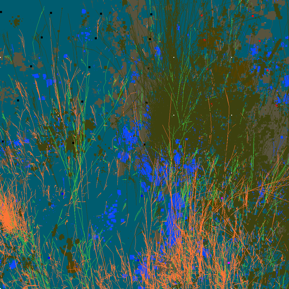 Infinite Garden: 16281 Flowers