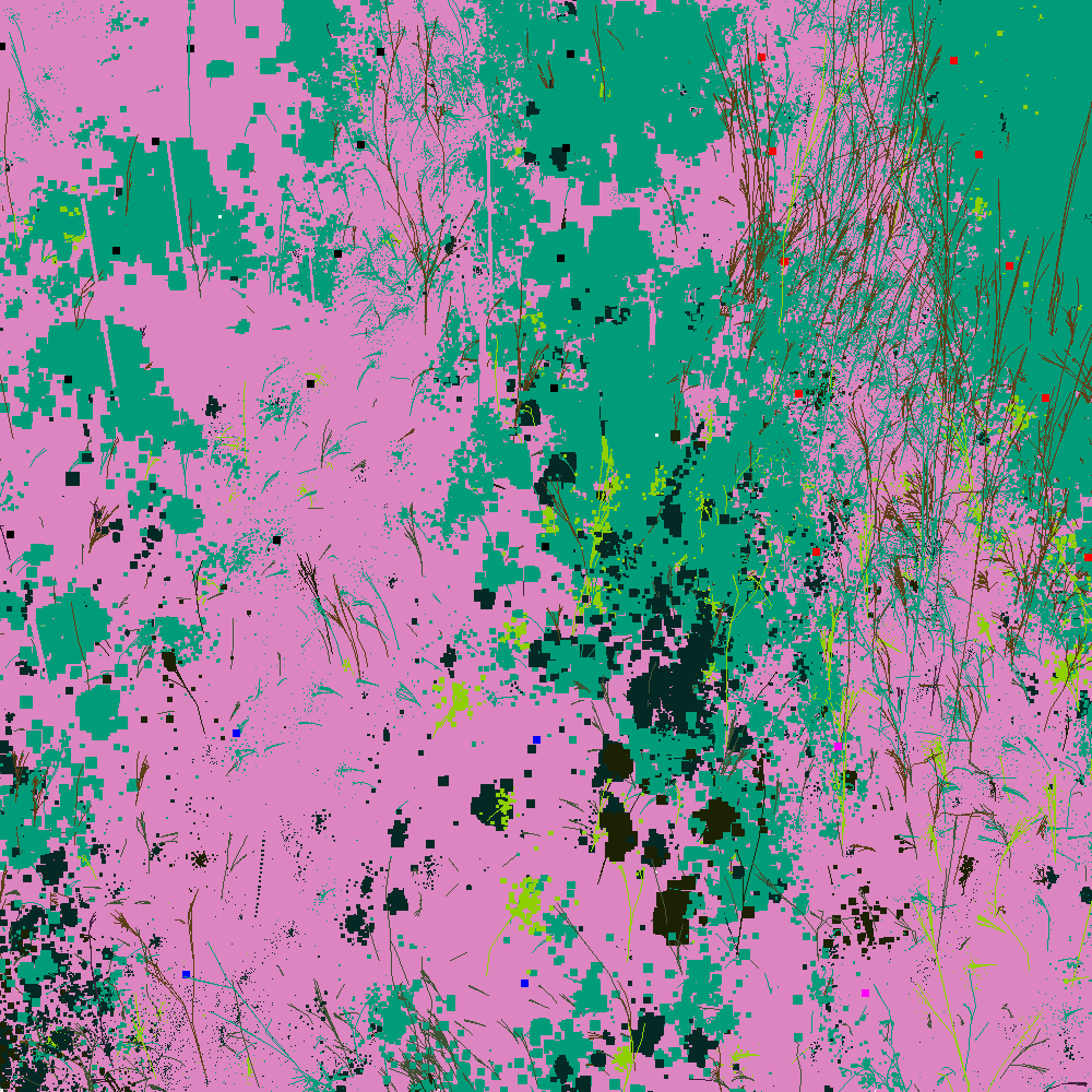 Infinite Garden: 39593 Flowers