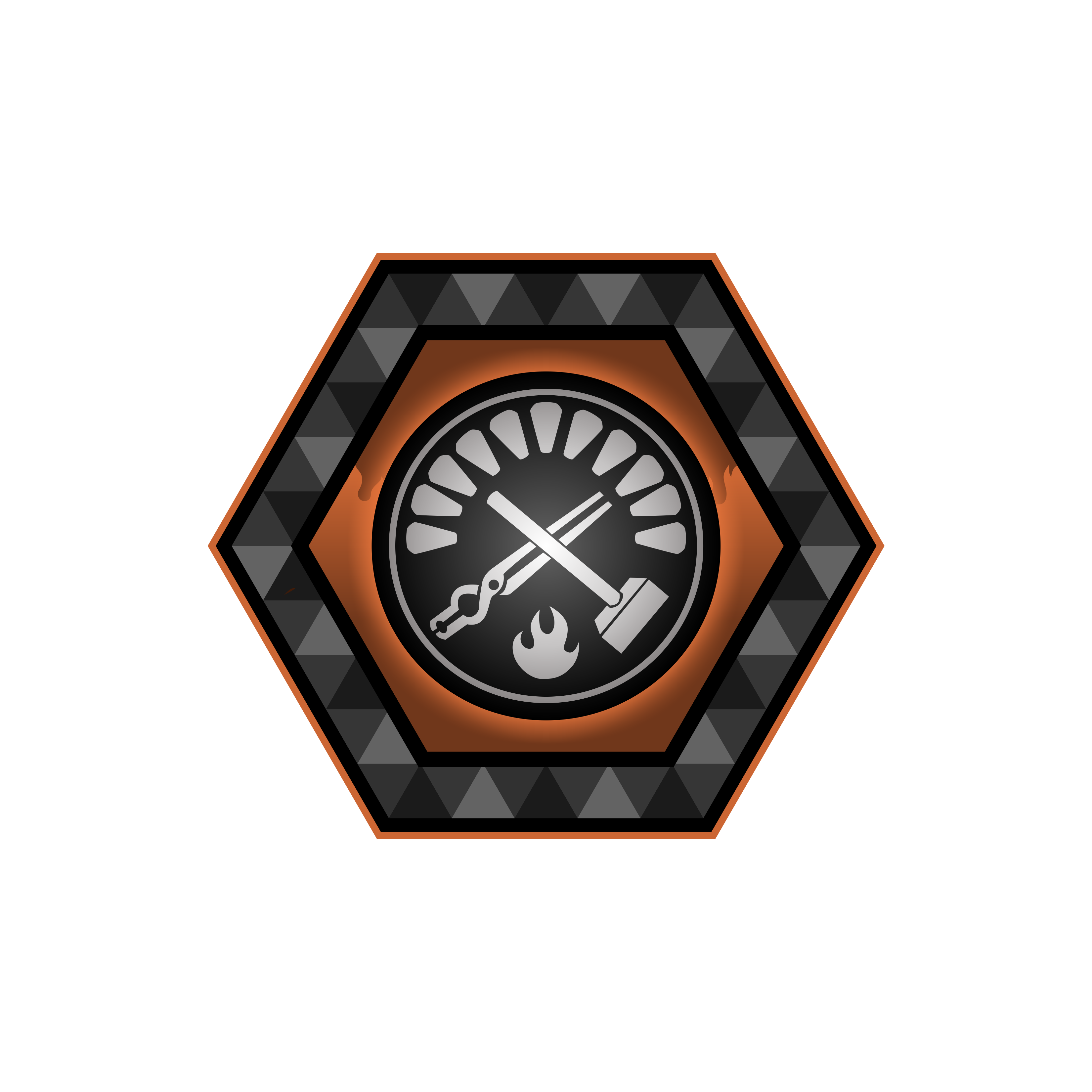 Section 11: NFT Collector